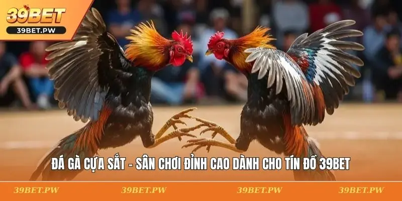 Đá Gà Cựa Sắt - Sân Chơi Đỉnh Cao Dành Cho Tín Đồ 39BET