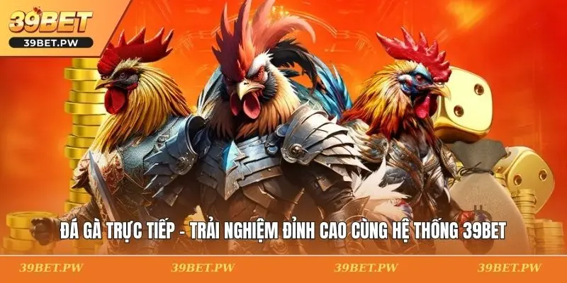 Đá Gà Trực Tiếp - Trải Nghiệm Đỉnh Cao Cùng Hệ Thống 39BET