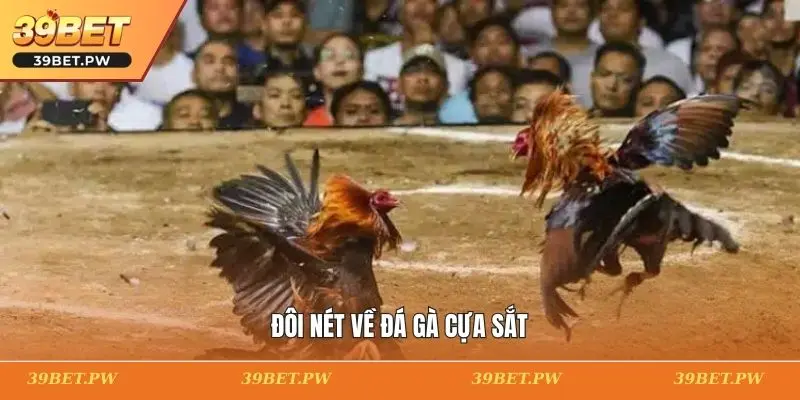 Đôi nét về đá gà cựa sắt