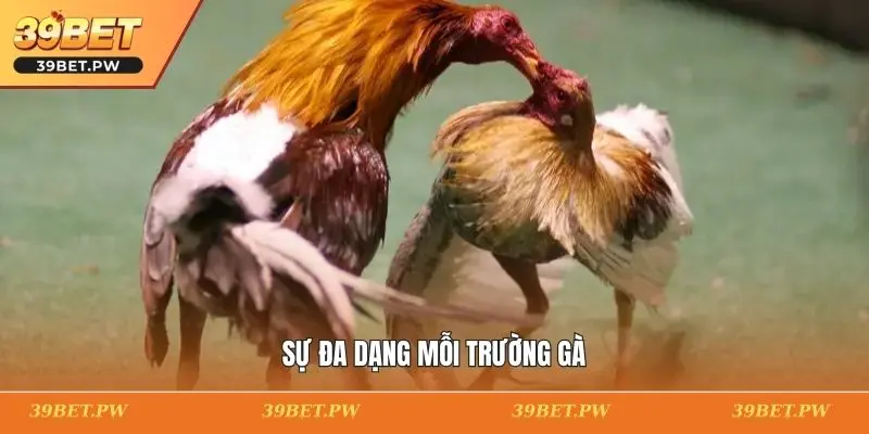 Sự đa dạng mỗi trường gà