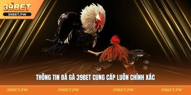Thông tin đá gà 39BET cung cấp luôn chính xác
